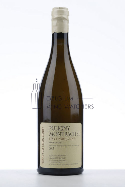 Image de 2013 PULIGNY MONTRACHET LES CHAMPS GAINS
